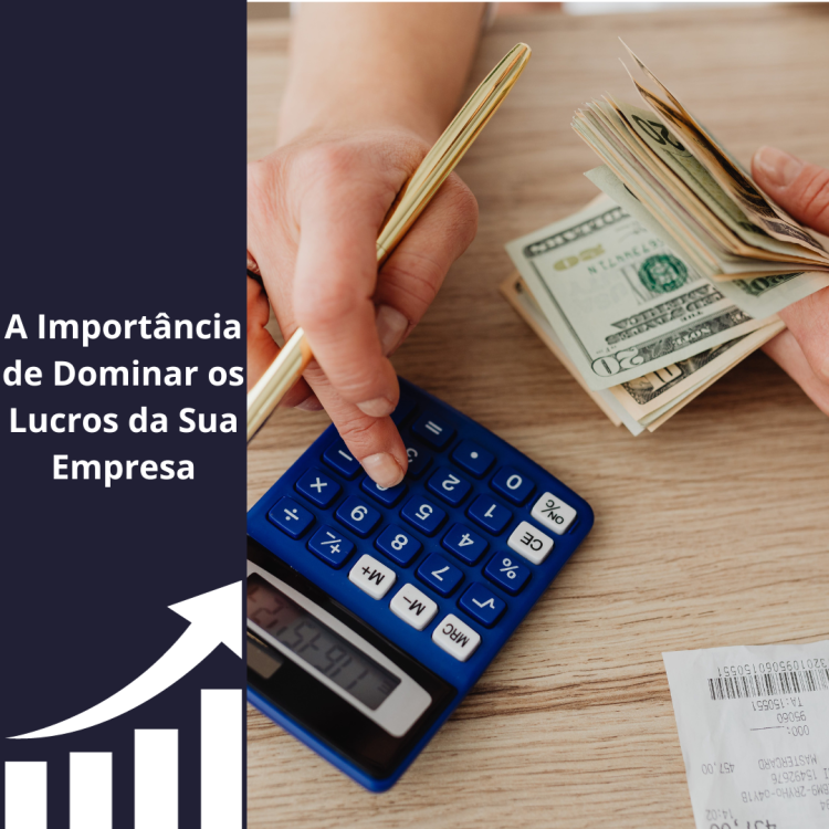 A Importância de Dominar os Lucros da Sua Empresa